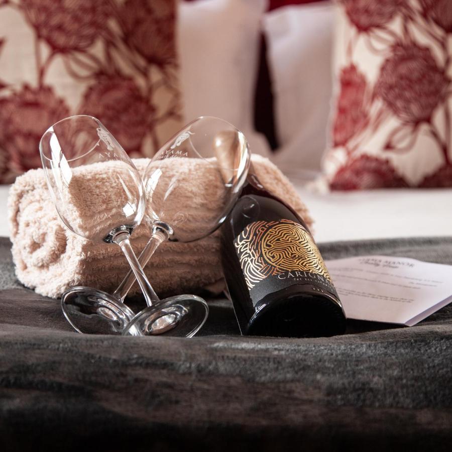 Ayama Wine Farm - Manor House Bed and Breakfast Wellington Exteriör bild