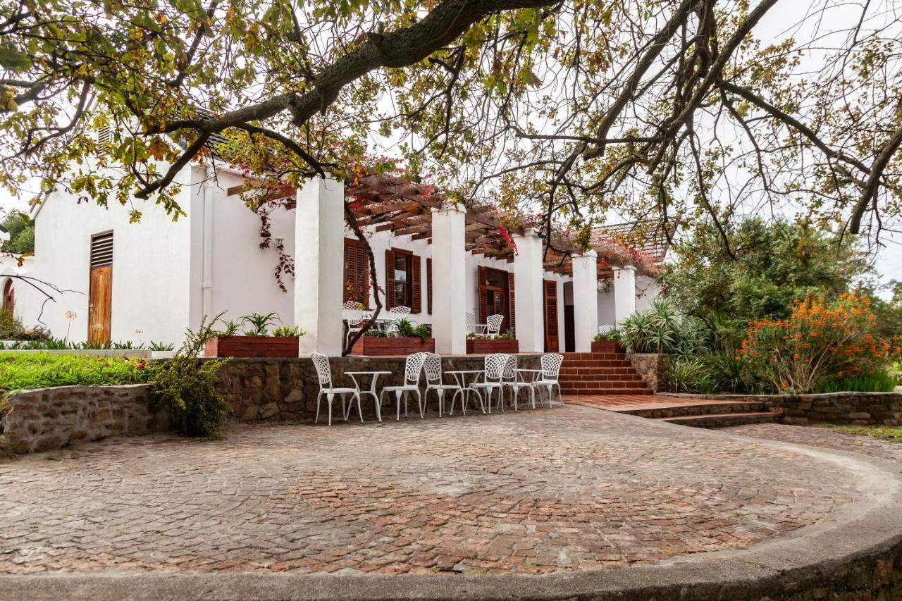 Ayama Wine Farm - Manor House Bed and Breakfast Wellington Exteriör bild