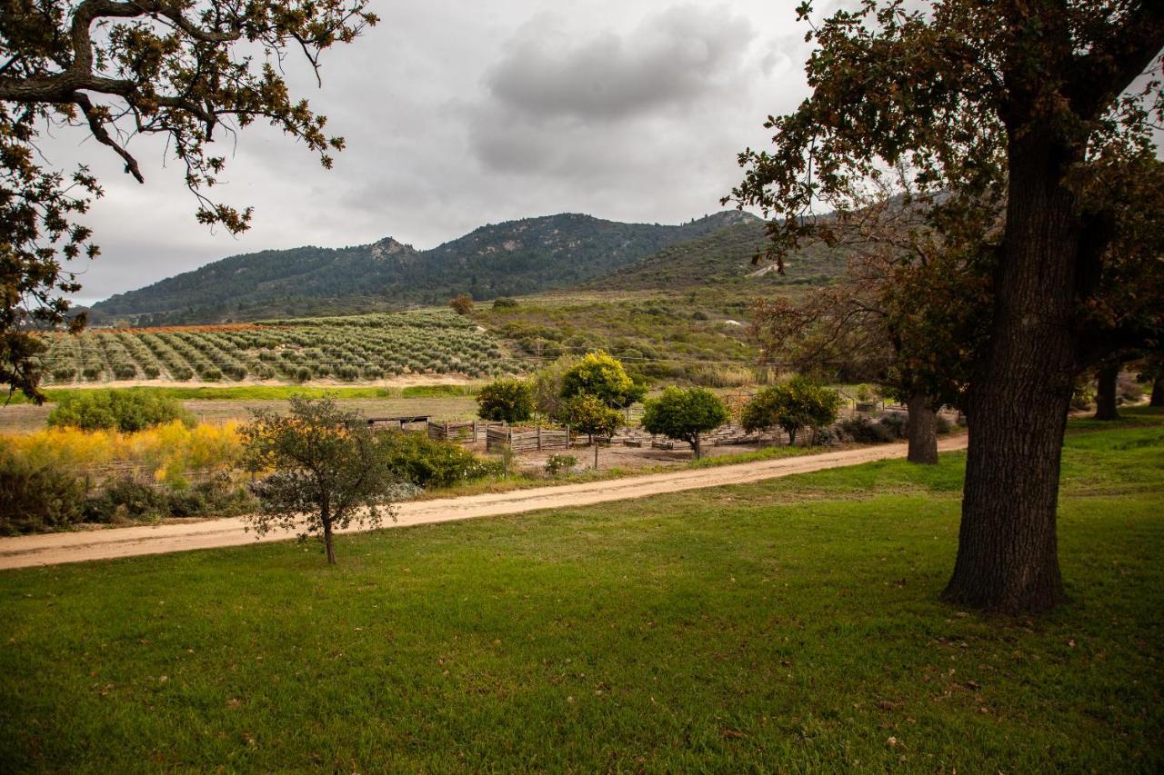 Ayama Wine Farm - Manor House Bed and Breakfast Wellington Exteriör bild