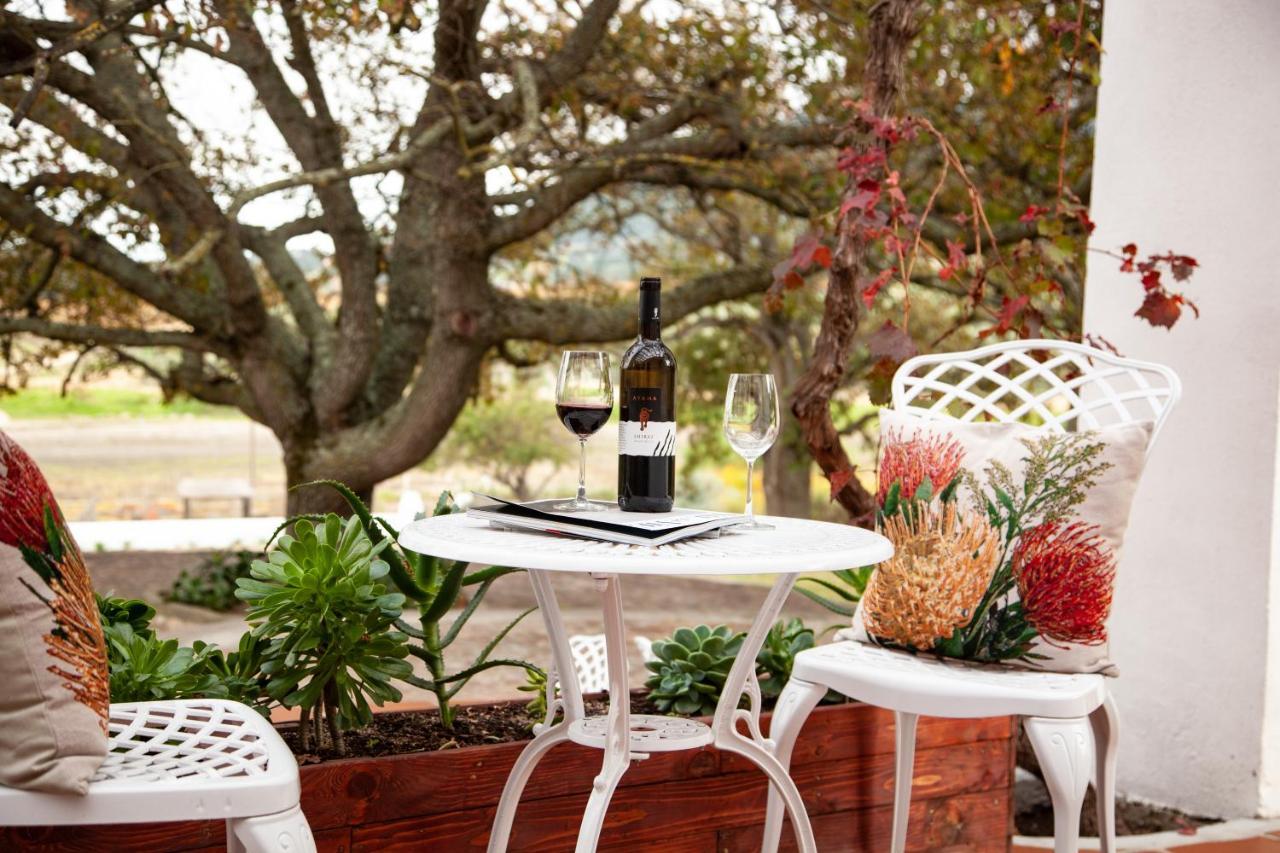 Ayama Wine Farm - Manor House Bed and Breakfast Wellington Exteriör bild
